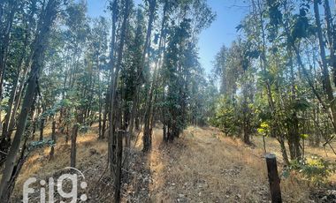 Venta de Terreno en San Nicolás, Naturaleza y Tranquilidad