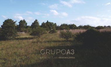 LOTE CON ESPECTACULARES VISTAS AL LAGO LOS MOLINOS- 680