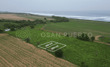 Se Vende Lotes con Vista al Mar a Solo 450 m de la Playa Plataforma
