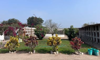 Venta De Terreno Agricola Con Casa De Campo Con Ruedo Y Casillero De Gallos.