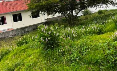 lotes de terreno en venta en MONAY a 7 min de la autopista  listos para construir