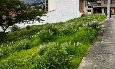 lotes de terreno en venta en MONAY a 7 min de la autopista  listos para construir