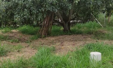 VENDO LOTE DE TERRENO EN ROZO