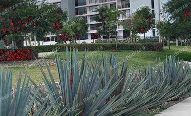 Departamento  en planta baja con 3 recámaras