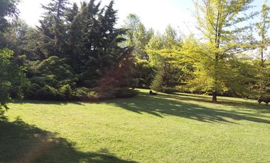 PAINE OPORTUNIDAD VENTA DOS CASAS EN GRAN PARCELA CON PARQUE