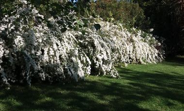 PAINE OPORTUNIDAD VENTA DOS CASAS EN GRAN PARCELA CON PARQUE