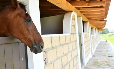 Terreno en Venta en Fracc. El Encanto en Tapalpa