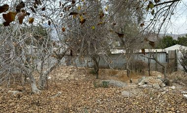 Se vende sitio con cabaña en Calingasta, San Isidro, Vicuña, Valle de Elqui