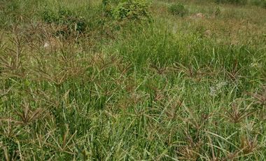 Terreno en Ribera del Cardenal