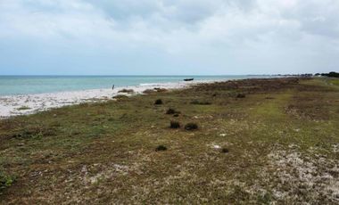 se vende lote de playa mayapo