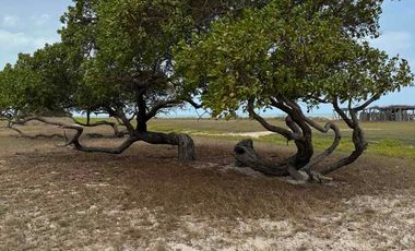 se vende lote de playa mayapo
