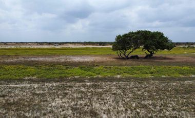 se vende lote de playa mayapo