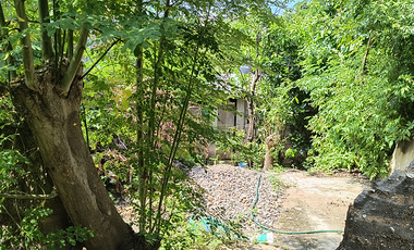 Casa rustica escriturada y desplantada en un terreno de 240 m² en Acapulco, Gro.