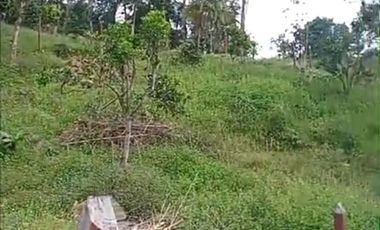 HERMOSO LOTE MESITAS DEL COLEGIO A 10 MINUTOS DE VIA PPAL