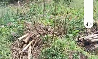 HERMOSO LOTE MESITAS DEL COLEGIO A 10 MINUTOS DE VIA PPAL