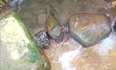 HERMOSO LOTE MESITAS DEL COLEGIO A 10 MINUTOS DE VIA PPAL