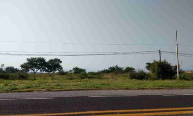 Excelente terreno plano a orilla de carretera, 