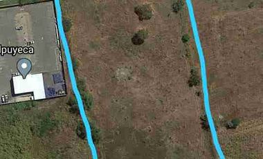 Excelente terreno plano a orilla de carretera, 