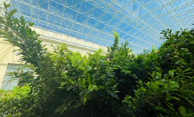 Hotel Casona Centro de Puebla