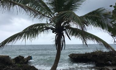 CAPURGANA' LOTES Y CASA