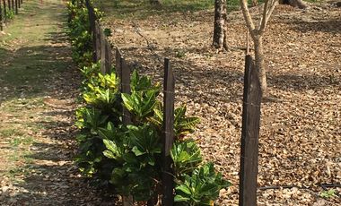 CAPURGANA' LOTES Y CASA