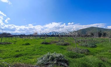 Leon Propiedades vende parcela con 2 casas y un galpón en camino el toro, Curacaví.