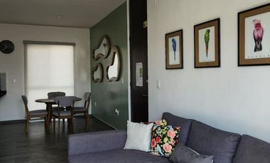 RENTO HERMOSO DEPARTAMENTO AMUEBLADO 2 RECAMARAS FRACC BOSQUES DEL DORADO $20,000.00