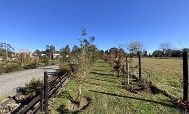 Se Vende preciosa Casa con cabaña en Frutillar