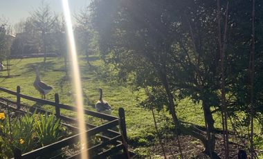 Se Vende preciosa Casa con cabaña en Frutillar