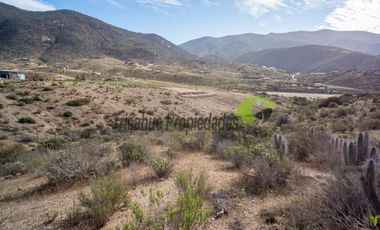 Parcela de 5000 m2, hermosa vista. Sector La Estrella de El Rosario. La Serena. $16 millones