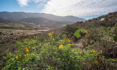 Parcela de 5000 m2, hermosa vista. Sector La Estrella de El Rosario. La Serena. $16 millones