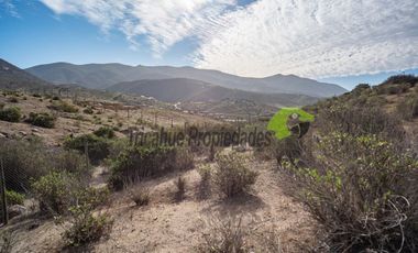 Parcela de 5000 m2, hermosa vista. Sector La Estrella de El Rosario. La Serena. $16 millones