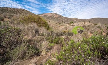 Parcela de 5000 m2, hermosa vista. Sector La Estrella de El Rosario. La Serena. $16 millones