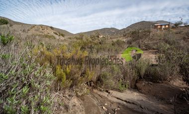 Parcela de 5000 m2, hermosa vista. Sector La Estrella de El Rosario. La Serena. $16 millones