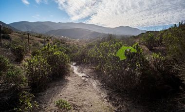 Parcela de 5000 m2, hermosa vista. Sector La Estrella de El Rosario. La Serena. $16 millones