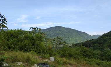 FINCA DE 1 HS EN EL SECTOR DEL PARQUE TAYRONA SANTA MARTA.