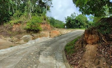 FINCA DE 1 HS EN EL SECTOR DEL PARQUE TAYRONA SANTA MARTA.
