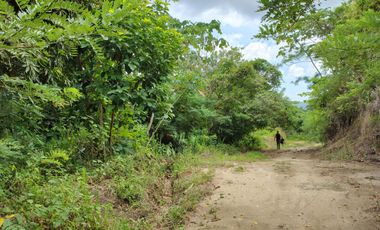 FINCA DE 1 HS EN EL SECTOR DEL PARQUE TAYRONA SANTA MARTA.