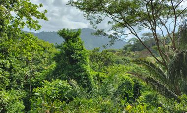 FINCA DE 1 HS EN EL SECTOR DEL PARQUE TAYRONA SANTA MARTA.