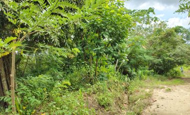 FINCA DE 1 HS EN EL SECTOR DEL PARQUE TAYRONA SANTA MARTA.