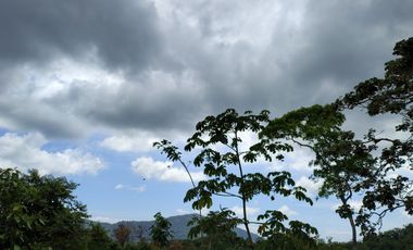 FINCA DE 1 HS EN EL SECTOR DEL PARQUE TAYRONA SANTA MARTA.