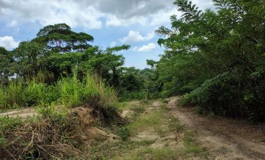 FINCA DE 1 HS EN EL SECTOR DEL PARQUE TAYRONA SANTA MARTA.