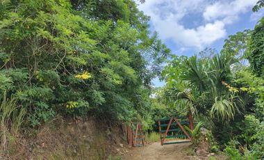 FINCA DE 1 HS EN EL SECTOR DEL PARQUE TAYRONA SANTA MARTA.