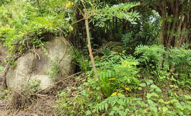 FINCA DE 1 HS EN EL SECTOR DEL PARQUE TAYRONA SANTA MARTA.