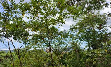 FINCA DE 1 HS EN EL SECTOR DEL PARQUE TAYRONA SANTA MARTA.