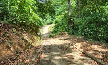 FINCA DE 1 HS EN EL SECTOR DEL PARQUE TAYRONA SANTA MARTA.