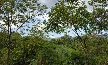 FINCA DE 1 HS EN EL SECTOR DEL PARQUE TAYRONA SANTA MARTA.