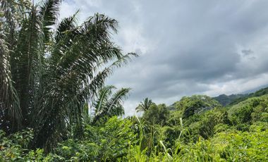 FINCA DE 1 HS EN EL SECTOR DEL PARQUE TAYRONA SANTA MARTA.