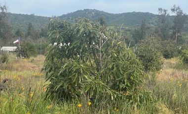 Se Vende Hermosa Parcela LLiu LLiu. Limache