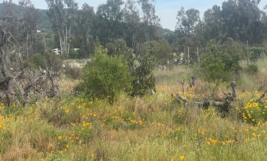 Se Vende Hermosa Parcela LLiu LLiu. Limache